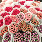 鲜花花束云南昆明直发康乃馨基地同城速递水养花母亲节教师节礼物