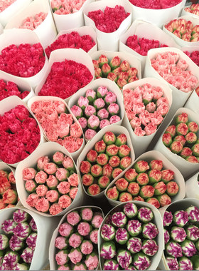康乃馨妇女节教师节母亲节礼物