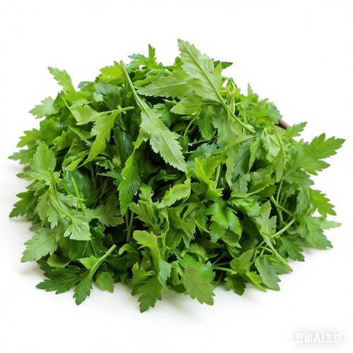 新鲜南京特产野菜菊花脑蔬菜菊花菜菊花叶汤包原料菊花菜下火