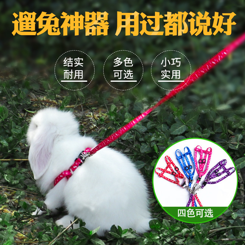 兔子牵引绳兔兔绳子用品衣服链子小宠物遛兔绳溜兔绳牵兔绳防