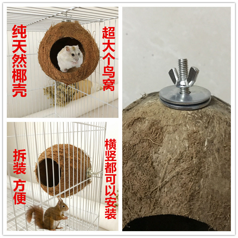 2026新款鹦鹉椰壳鸟窝椰子壳窝松鼠仓鼠繁殖窝虎皮牡丹宠物跨境