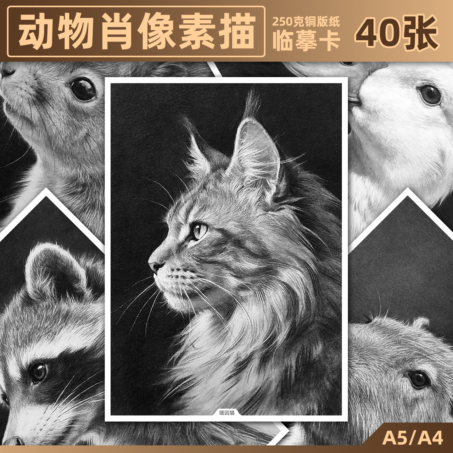 原创意动物肖像素描临摹卡少儿美术中高级超写实素材高清生肖范画