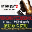 人与仁之战 光芒2 PC正版 steam 消逝 2国区 Light Dying 其它区