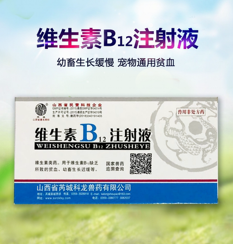犬猫贫血兽用维生素注射液