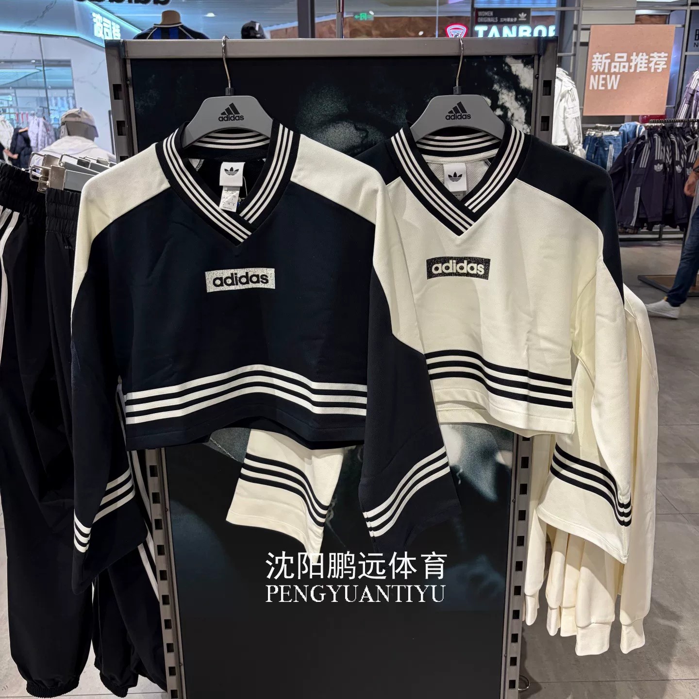 Adidas/阿迪达斯三叶草女运动卫衣/套头衫