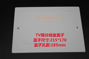 TV箱分线盒盖子电视墙插座面板网络信息弱电箱装饰遮挡板