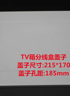 TV箱分线盒盖子电视墙插座面板网络信息弱电箱装饰遮挡板