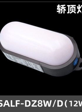 电梯井道灯轿顶灯SALF-DZ8W底坑SALF-DZ10W/D应急照明LED壁灯