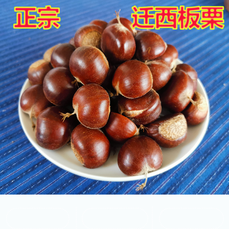 2025迁西板栗生新鲜现摘野生小板栗正宗油栗子新鲜板栗生板栗5斤
