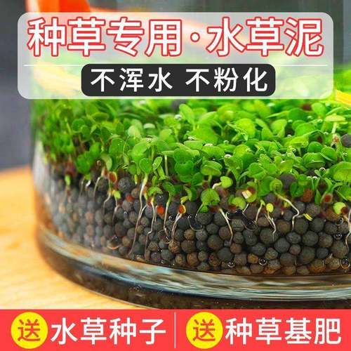 水草泥陶粒水培垫砂沙鱼缸铺底砂造景套餐水草种子生态水草缸专用