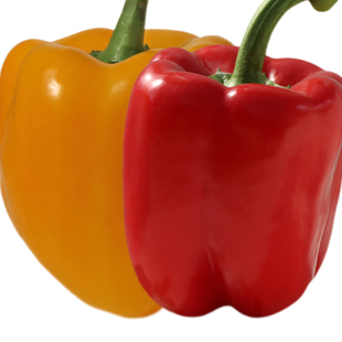 寿光五彩辣椒苗种子灯笼甜椒籽青椒水果彩椒籽种大全不辣秧盆栽