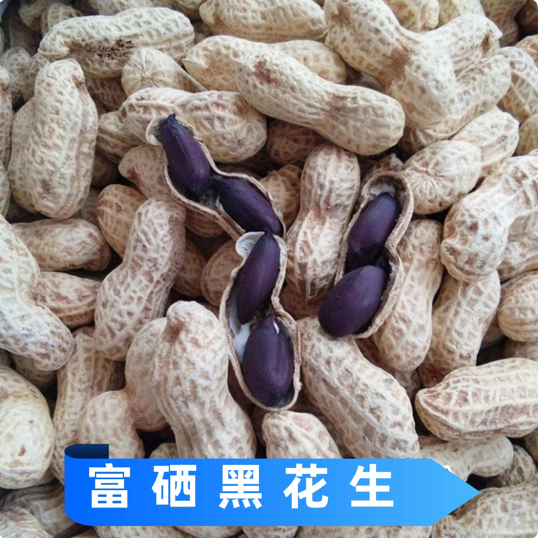 黑花生种子带壳高产春播南方图片