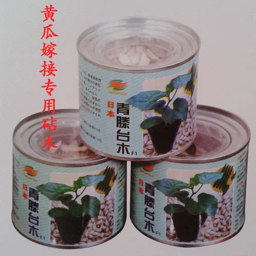 黄瓜嫁接专用砧木种籽