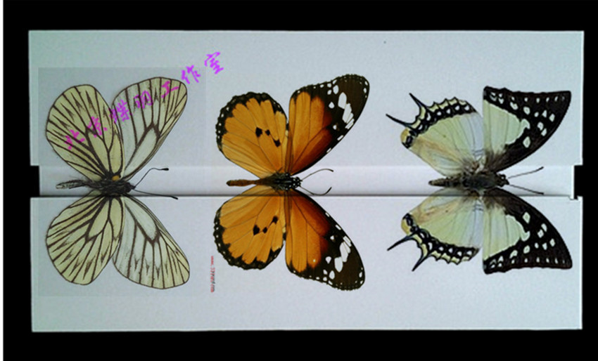 ÖÐСºÅºûµû±ê±¾Õ¹³á°åKVA°å¿ÉÖØ¸´Óö¨ÖÆÅú·¢ÐÂÆ·ÈÈÂô¶À¼ÒÖÆ×÷