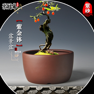 宜兴紫砂花盆 圆形假山造景花盆小叶紫檀文竹黄杨客厅盆景盆特价