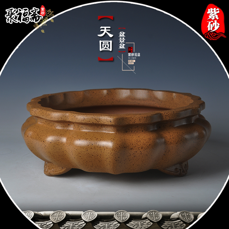 宜兴紫砂花盆 圆形盆景盆原矿透气多肉菖蒲古典文房扁浅花盆特价