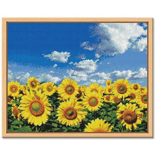 40×50全新满钻带工具钻石画风景画卡通花卉漫威手工贴画恐龙世界