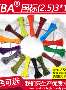红黄蓝绿彩色国标3*100宽2.5mm塑料尼龙一次性理线捆扎带厂家直销