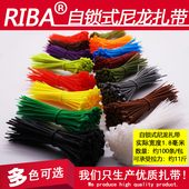 家装 家饰捆扎彩色尼龙小扎带3x100宽1.8mm理线红黄蓝绿色厂标