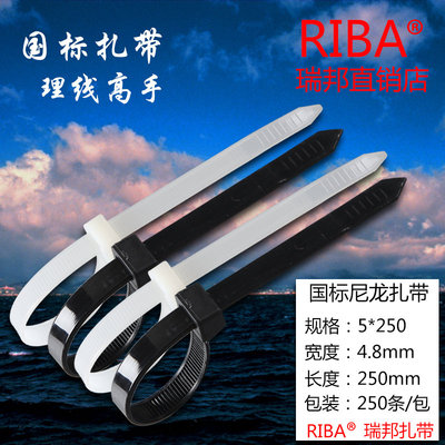 黑白国标自锁收纳整理尼龙扎带