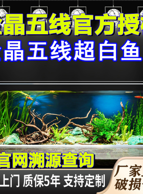 金晶五线超白鱼缸桌面缸60鱼缸80鱼缸120鱼缸超清4K空气缸裸缸