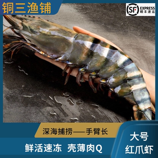 黑虎虾超大海虾红爪虾基围虾厄瓜多尔南美白湖罗氏竹节对虾鲜活