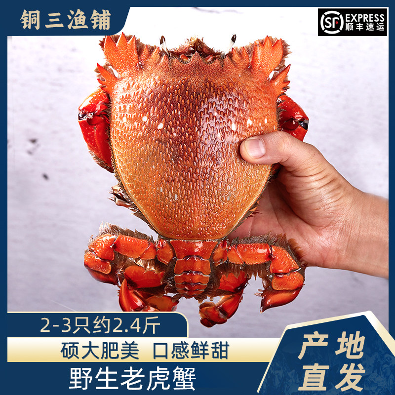老虎蟹3只装400-500g/只贵妃蟹特大海鲜冷冻水产咖啡蟹红螃蟹特大,水产肉类/新鲜蔬果/熟食,梭子蟹,淘宝优惠券,粉丝福利购,淘宝优惠卷