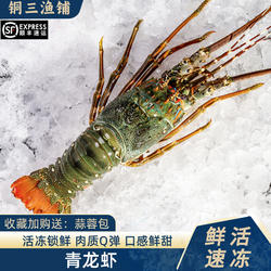 东山特大青龙虾海鲜水产冷冻小龙虾深海波士顿龙虾海捕鲜活大龙虾