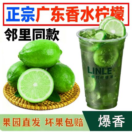 【现货】正宗广东无籽香水柠檬果园直发  奶茶店专用新鲜柠檬