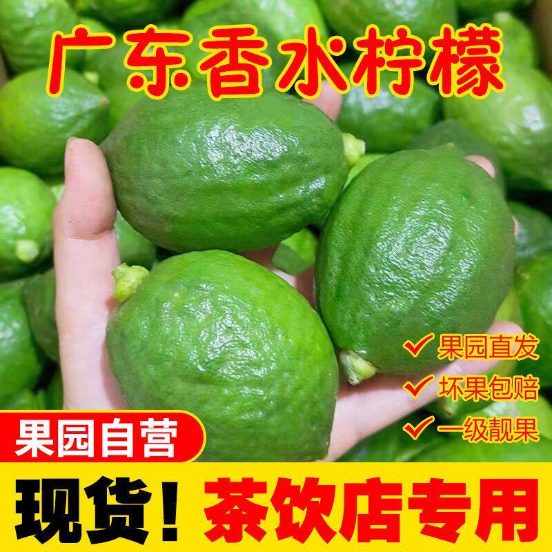 正宗广东产地香水柠檬柠檬包邮