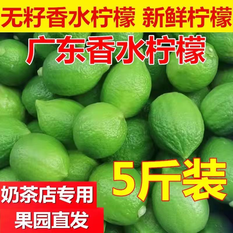 广东香水柠檬 无籽香水柠檬一级果整箱 新鲜现发 奶茶店专用柠檬