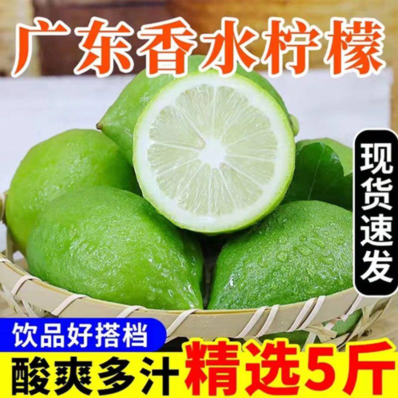 无籽香水柠檬现摘现发整箱