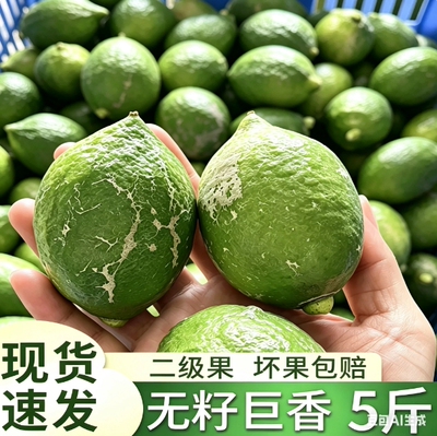 现摘正宗广东香水柠檬二级果爆香型手打柠檬茶奶茶店专用无籽柠檬