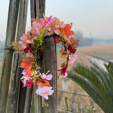 橙色橘红桔色花环头饰演出头饰发箍布艺圆形森系系带花朵提升美感