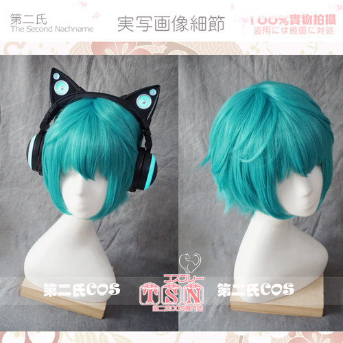 第二氏V家初音性转mikuo假发