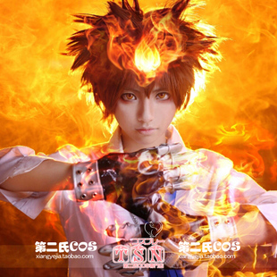 第二氏家庭教师 沢田/泽田纲吉 十年前/同人凹凸安迷修COS假发389