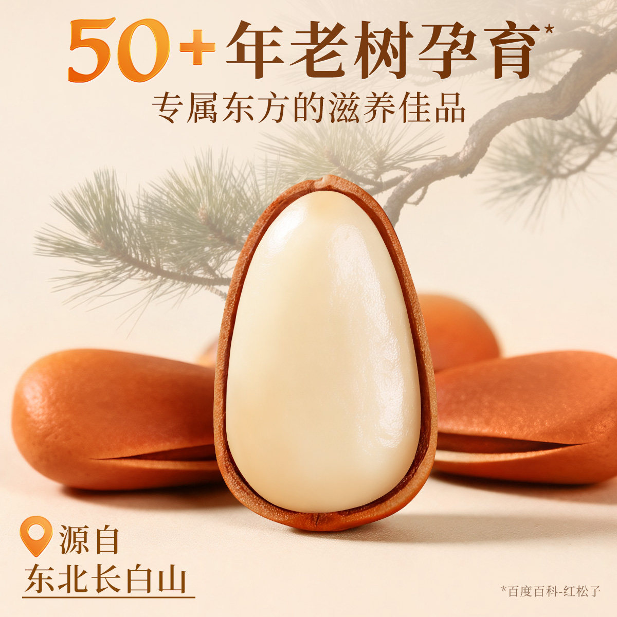 开口松子非特级特大东北官方舰旗店大颗粒散装发批坚果王2026新货