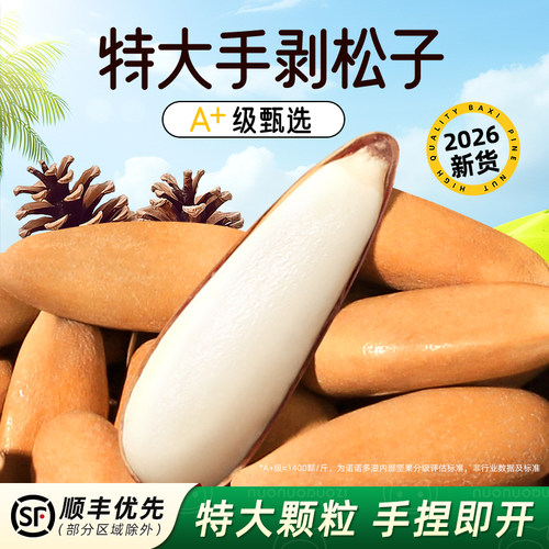 2026新货阿富汗手剥巴西松子特大颗粒非特级长粒松子坚果休闲零食