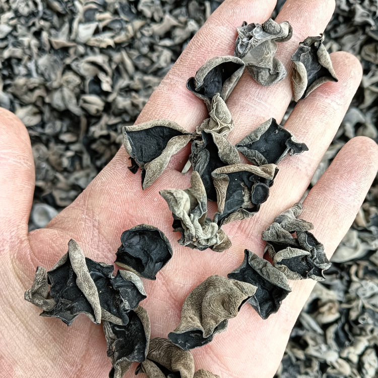 椴木云耳木耳非地耳半斤发顺丰