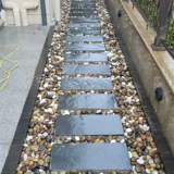 Bluestone Step Step Court Garden Garden Расположение сад на открытом воздухе.