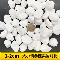 Шираисизи 40 котт/сумка (не бесплатная доставка) не бесплатная доставка