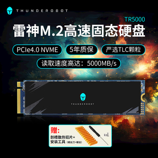 主机512G1T笔记本电脑M.2 雷神黑武士PCIe4.0固态硬盘TR5000台式