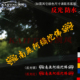 反光汽车贴纸南无阿弥陀佛六字货车挡风防水玻璃车身车门装 饰车贴