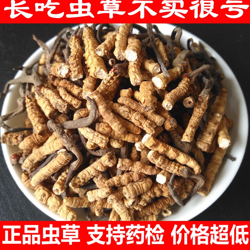 2025新冬虫夏草虫草断草那曲玉树高海拔断虫草低价处理自用打粉