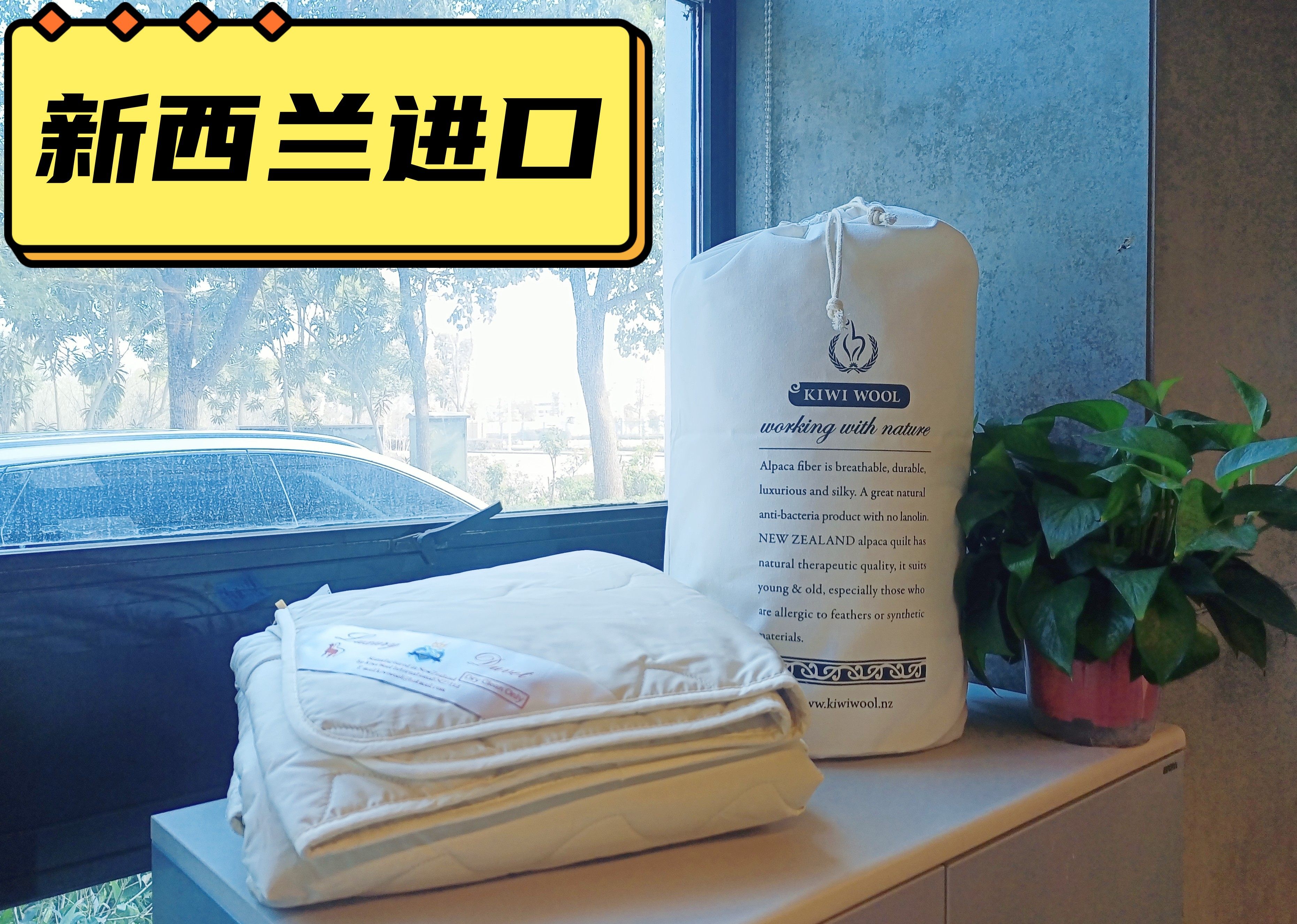 kiwiwool新西兰原装进口100%纯羊驼毛被2.0米大床春秋被四季被,床上用品,羊毛被/驼毛被,淘宝优惠券,粉丝福利购,淘宝优惠卷