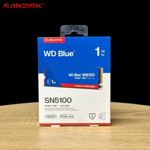 国行WD闪迪蓝盘SN5000 SN5100 500G 1T 2TB M.2 NVMe PCIe固态SSD