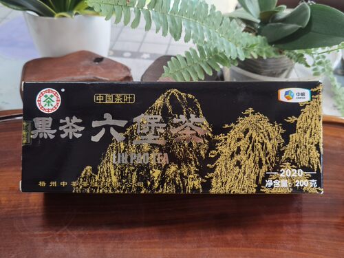 广西梧州中茶2020版黑盒六堡茶/高贵典雅稳重大方的包装送礼佳品