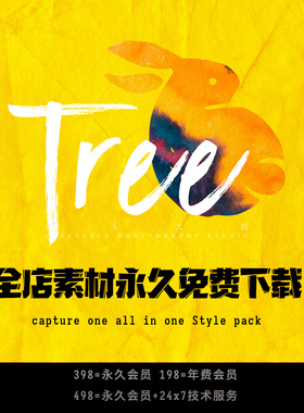 圈踢图片社 CaptureOne 飞思预设 | 素材调色教学 | 单独指导服务