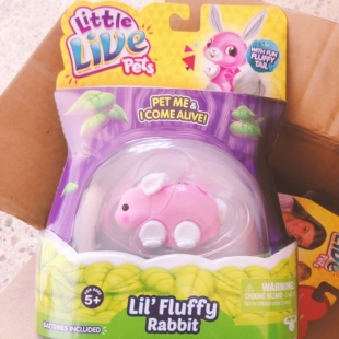 送小宝宝的电动小松鼠小狐狸小兔仓鼠玩偶会跑动的小公仔儿童玩具