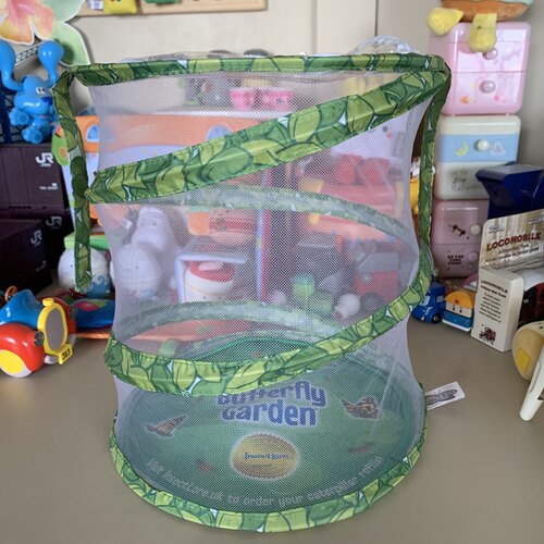 儿童小学生科学课户外探索蝴蝶笼萤火虫蟋蟀蛐蛐昆虫观察网露营